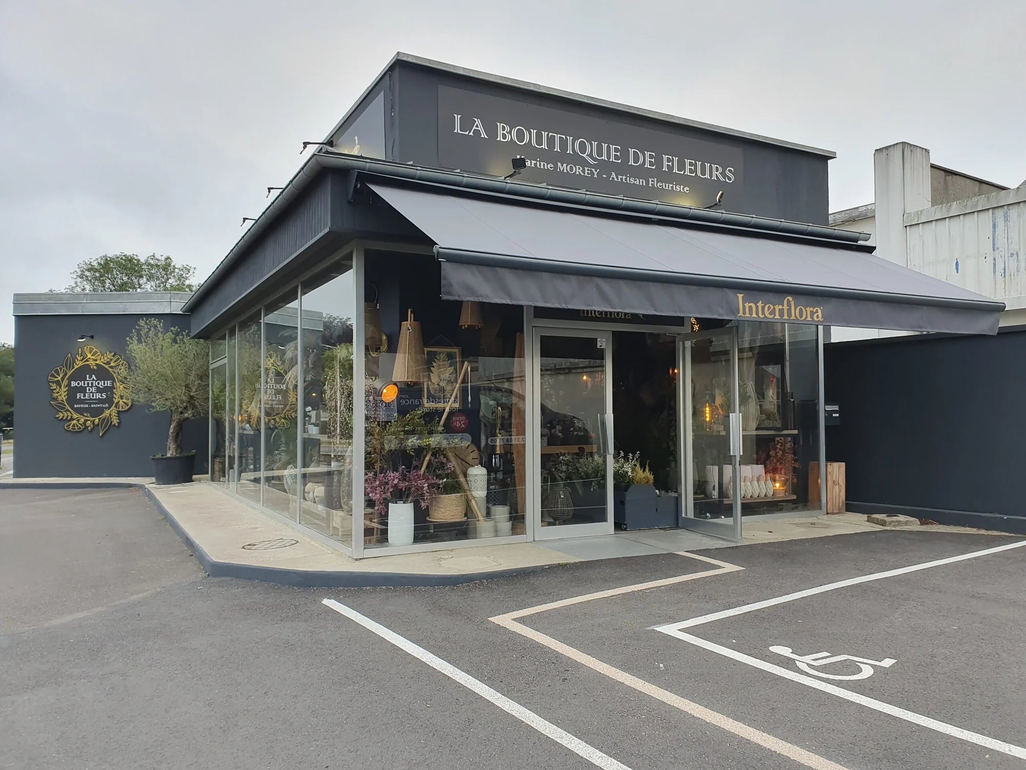 Store Banne Motirisé